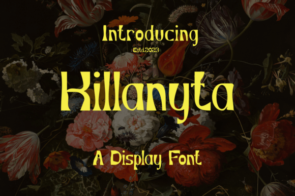 Kilanyta: A Designer’s Take on Its Real-World Use