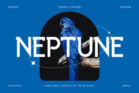 Neptune: A Modern Display Font That Elevates Handmade Product Design